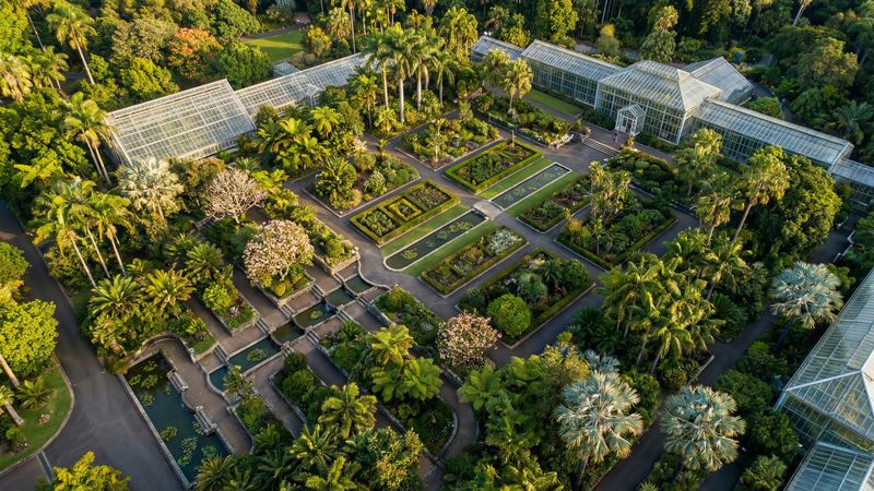 小蓝视频植物园视频